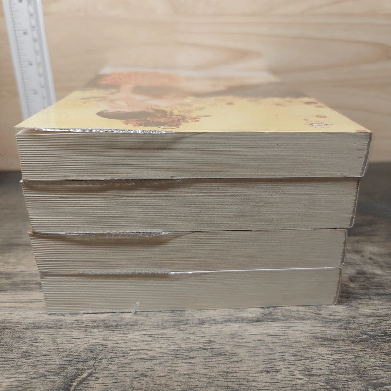 Boxset นิยายแจ่มใส ชุด ตำหนักรักนิรันดร์ 4 เล่มจบ รูปที่ 7