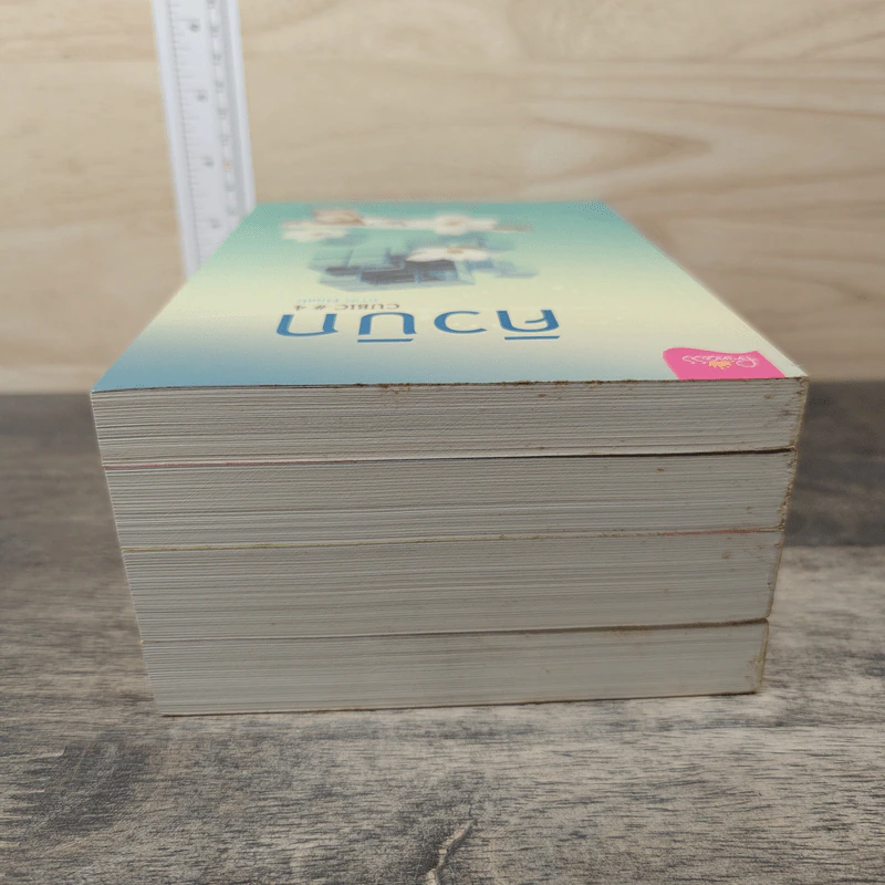 BoxSet คิวบิก 4 เล่มจบ - B 12 s.t รูปที่ 8