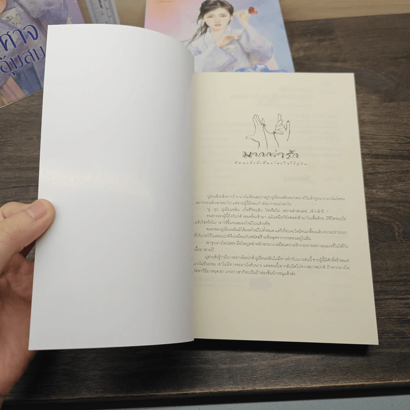ชุด ปีศาจอุ้มสม 3 เล่ม คืนนางดั่งคืนใจ, เคียงท่านดั่งเคียงเสือ, ครองปีศาจดั่งเคียงคู่ - โม่เหยียน รูปที่ 10