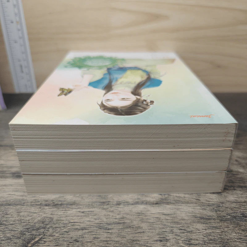 ชุด ปีศาจอุ้มสม 3 เล่ม คืนนางดั่งคืนใจ, เคียงท่านดั่งเคียงเสือ, ครองปีศาจดั่งเคียงคู่ - โม่เหยียน รูปที่ 7