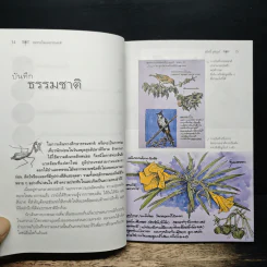 ลมหายใจแห่งธรรมชาติ - สมิทธิ์ สุติบุตร รูปที่ 8