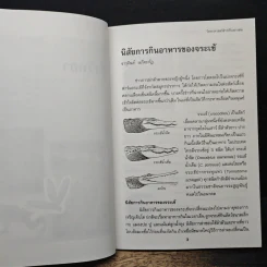 วิทยาศาสตร์สำหรับเยาวชน นานาสาระ รูปที่ 9