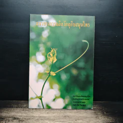 แนวทางการผลิตวัตถุดิบสมุนไพร รูปที่ 1