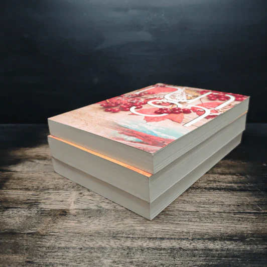 Boxset ซีรีส์รักคือไฟ 3 เล่มจบ - ณารา รูปที่ 6