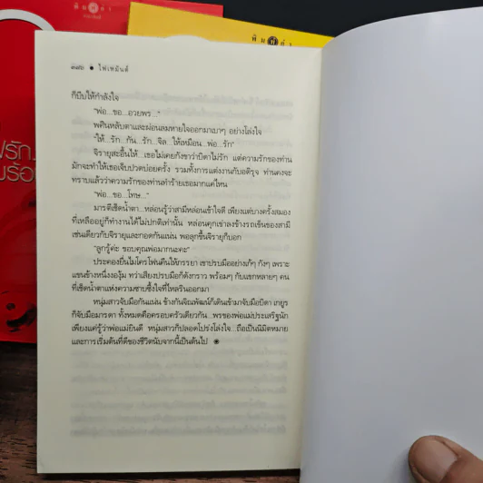 Boxset ซีรีส์รักคือไฟ 3 เล่มจบ - ณารา รูปที่ 11
