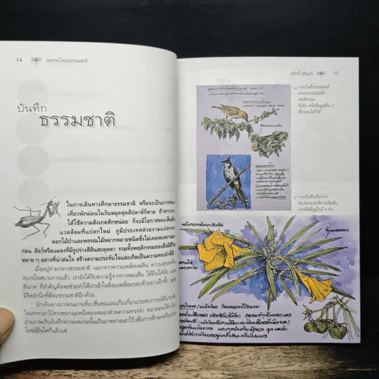 ลมหายใจแห่งธรรมชาติ - สมิทธิ์ สุติบุตร รูปที่ 8