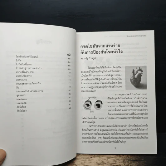 วิทยาศาสตร์สำหรับบเยาวชน เกราะป้องกันชีวิต รูปที่ 8