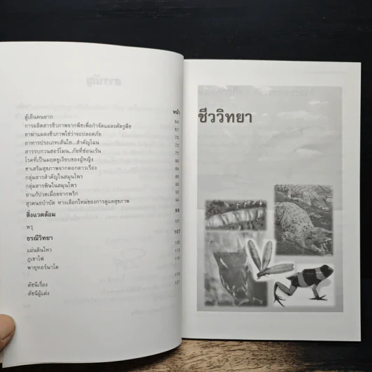 วิทยาศาสตร์สำหรับเยาวชน นานาสาระ รูปที่ 8