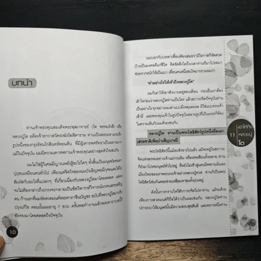 เข้าให้ถึงหลวงปู่โต - เตโช ไชยการ รูปที่ 7