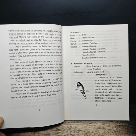 THE GUIDEBOOK to Breeding Swiftlets in Farming Houses รูปที่ 8
