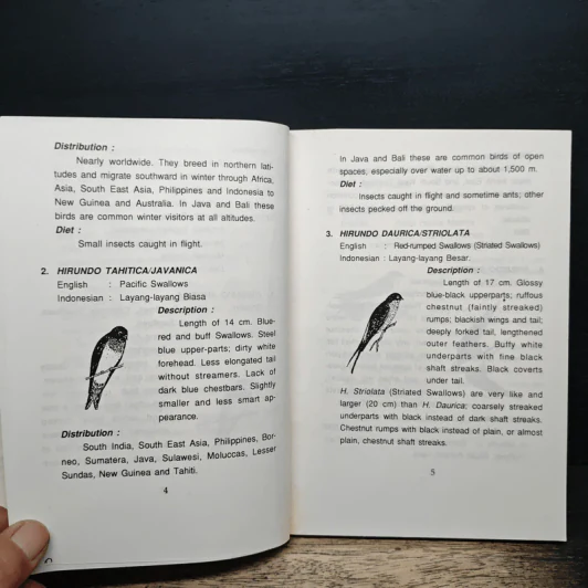 THE GUIDEBOOK to Breeding Swiftlets in Farming Houses รูปที่ 9