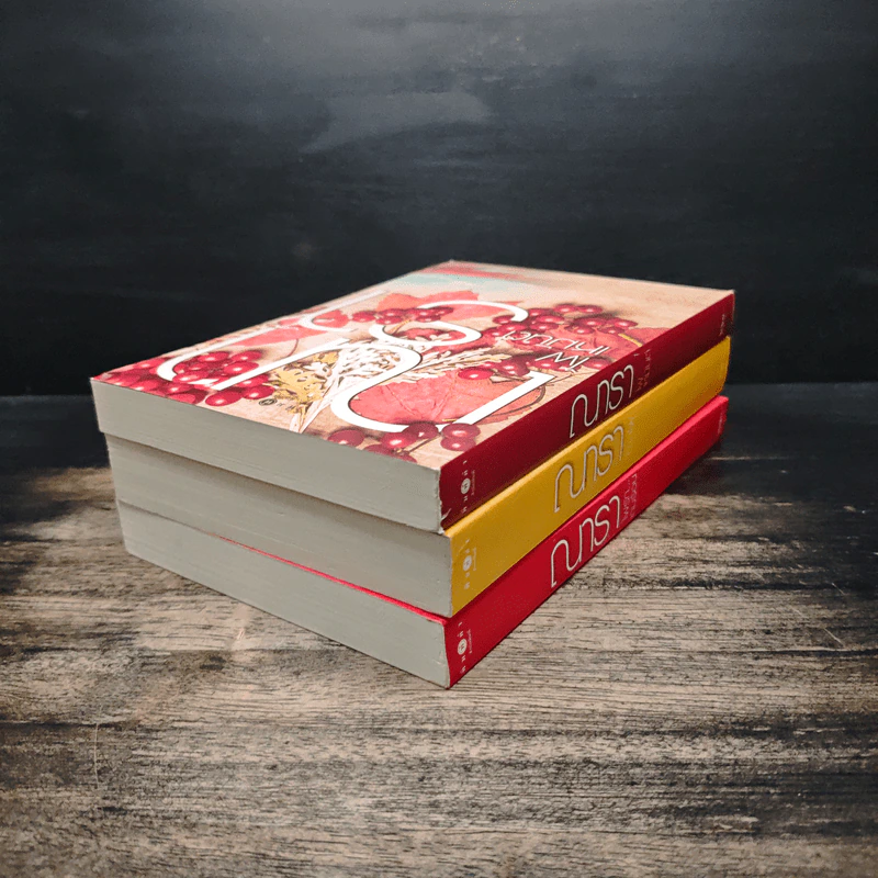 Boxset ซีรีส์รักคือไฟ 3 เล่มจบ - ณารา รูปที่ 7