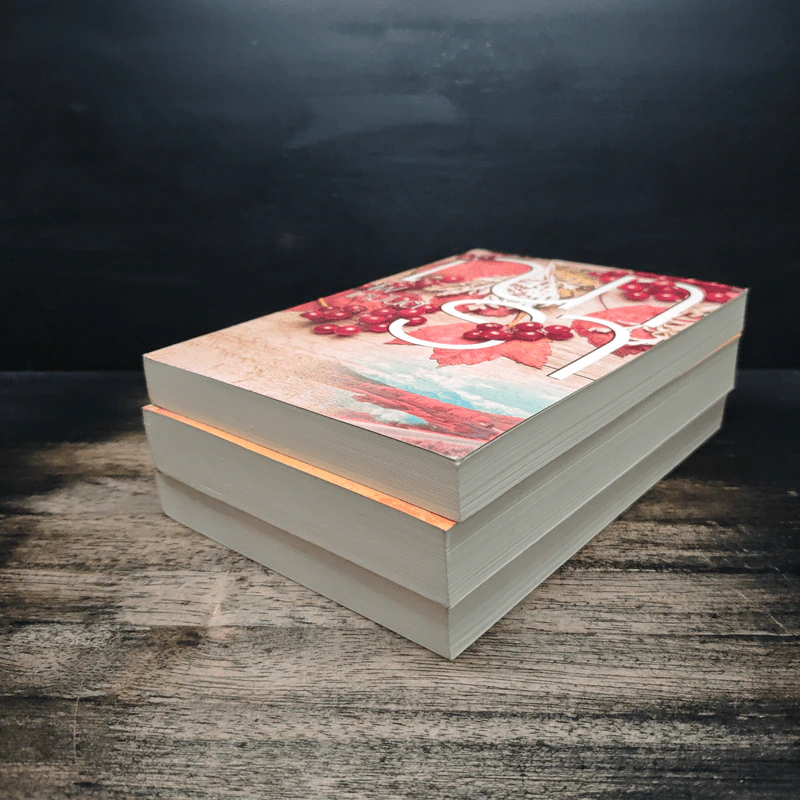 Boxset ซีรีส์รักคือไฟ 3 เล่มจบ - ณารา รูปที่ 6