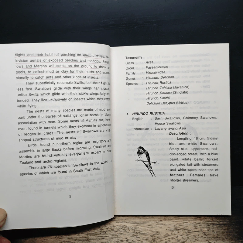THE GUIDEBOOK to Breeding Swiftlets in Farming Houses รูปที่ 8