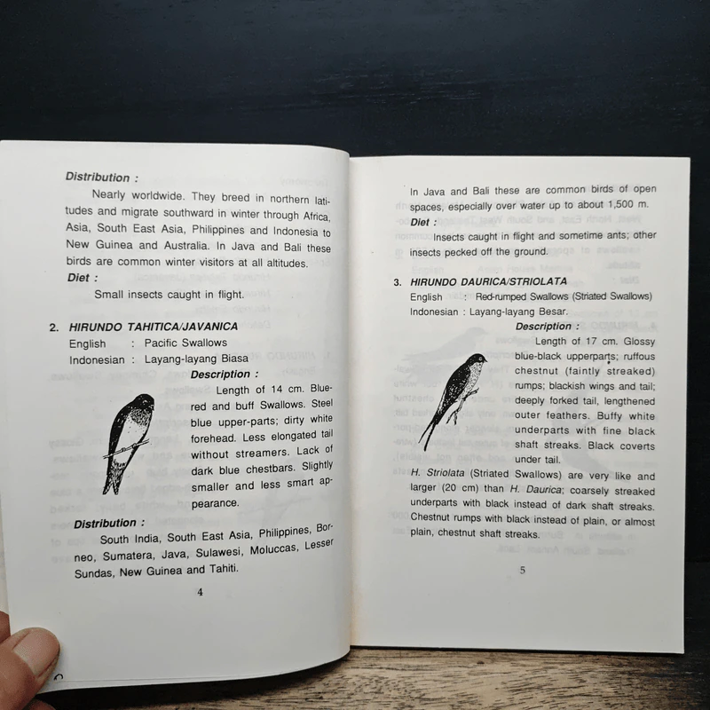 THE GUIDEBOOK to Breeding Swiftlets in Farming Houses รูปที่ 9