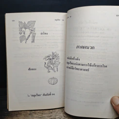 สมุนไพร อันดับที่ 3 หงอนไก่ฝรั่ง รูปที่ 11
