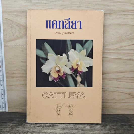 แคทลียา - บรรณ บูรณะชนบท รูปที่ 1