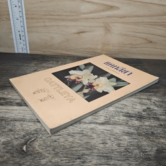 แคทลียา - บรรณ บูรณะชนบท รูปที่ 3