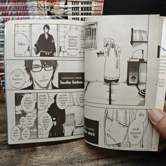 Bleach เทพมรณะ เล่ม 1-36 รูปที่ 8