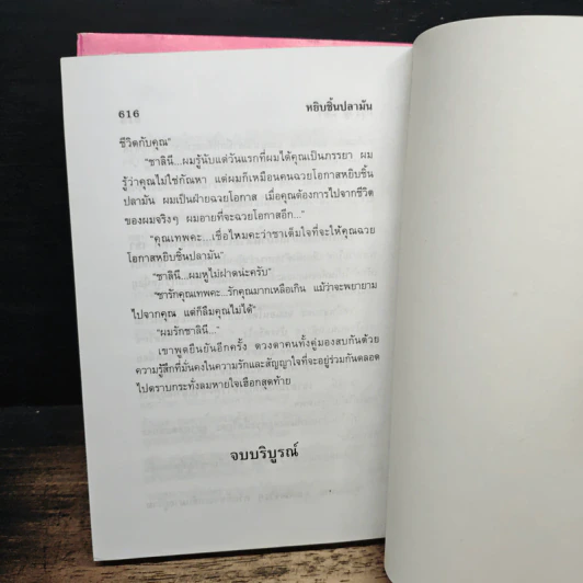 หยิบชิ้นปลามัน 2 เล่มจบ - กรุง ญ.ฉัตร รูปที่ 8