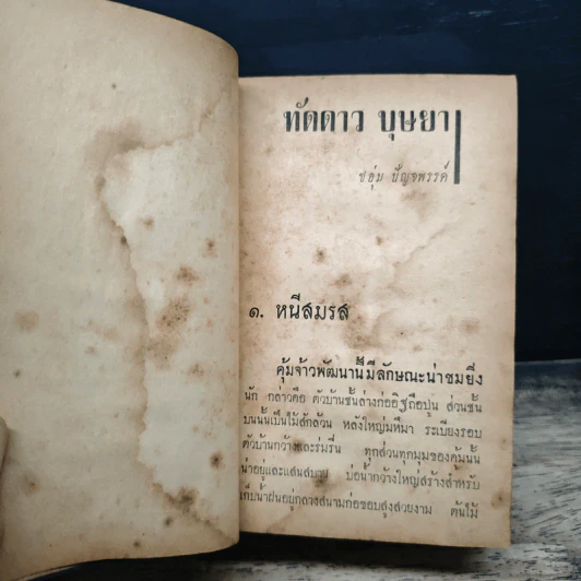 ทัดดาวบุษยา 2 เล่มจบ - ชอุ่ม ปัญจพรรค์ รูปที่ 7