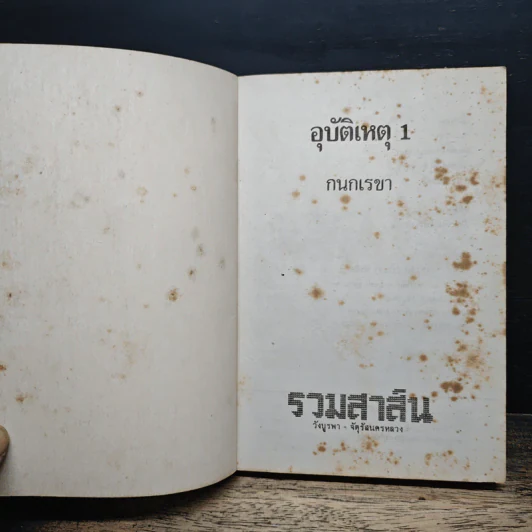 อุบัติเหตุ 2 เล่มจบ - กนกเรขา รูปที่ 6