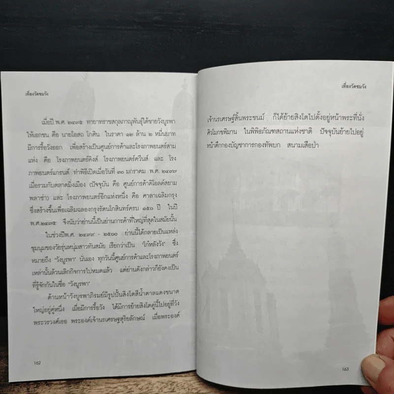เที่ยววัดชมวัง - สำราญ ช่วงวิทย์ รูปที่ 9
