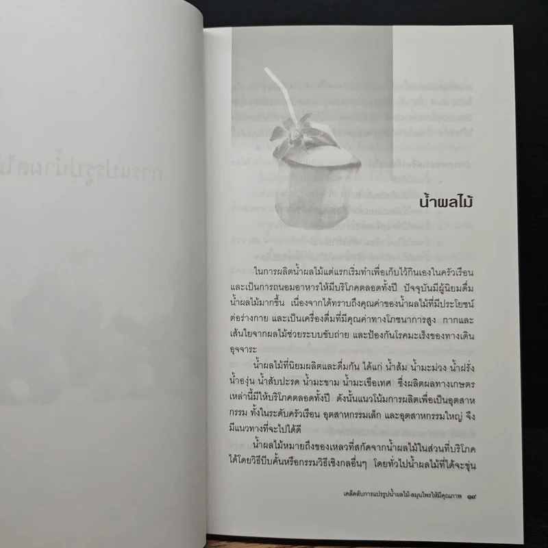 เคล็ดลับการแปรรูป น้ำผลไม้-สมุนไพร ให้มีคุณภาพ - เชษฐา ใจใส รูปที่ 8