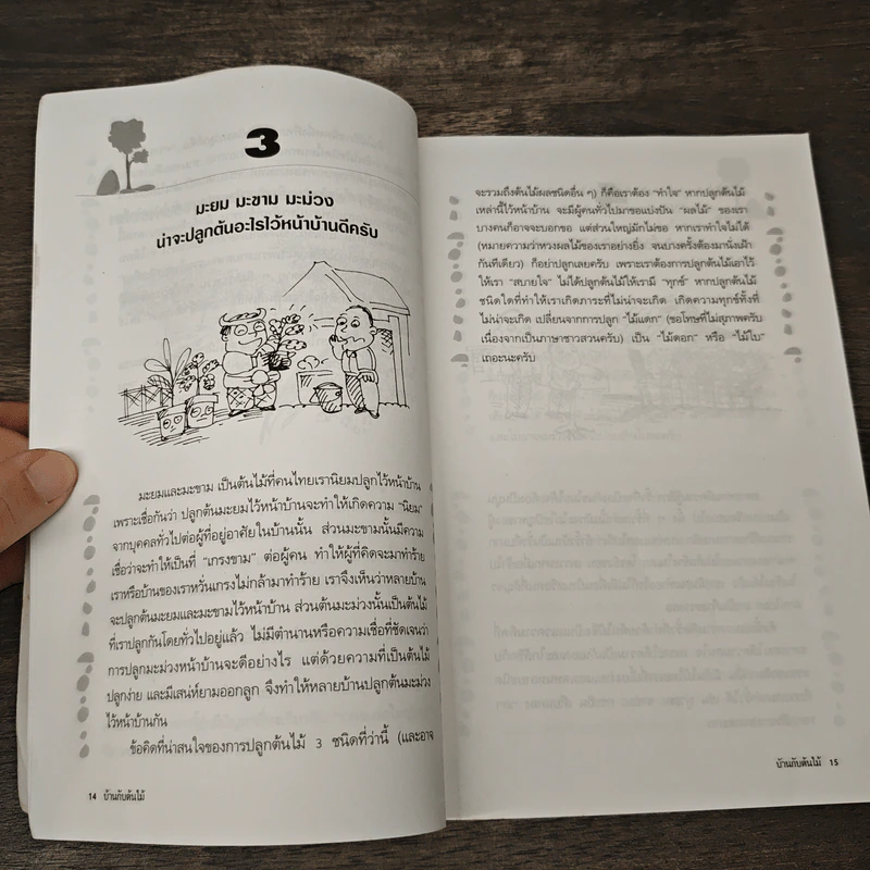 บ้านกับต้นไม้ - ยอดเยี่ยม เทพธรานนท์ รูปที่ 8