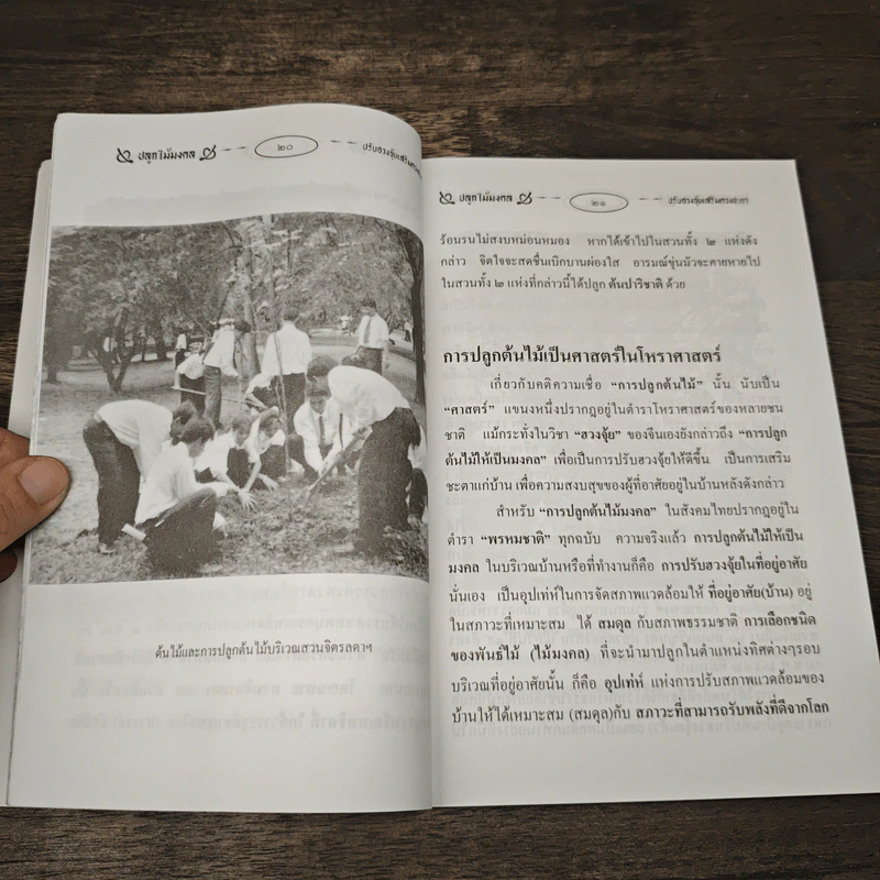 ปลูกไม้มงคล ปรับฮวงจุ้ยเสริมดวงชะตา - พ.สุวรรณ รูปที่ 8