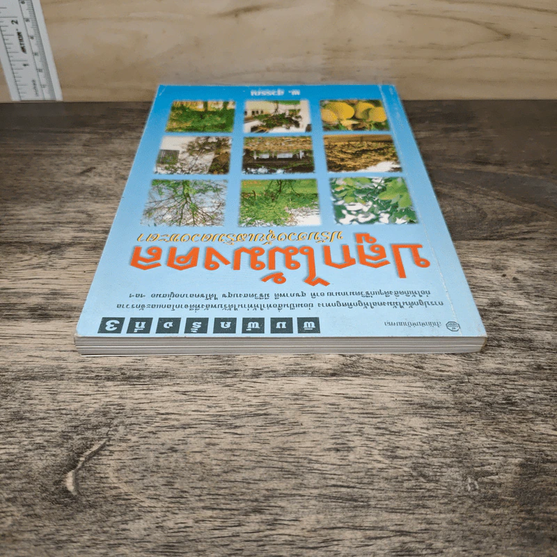 ปลูกไม้มงคล ปรับฮวงจุ้ยเสริมดวงชะตา - พ.สุวรรณ รูปที่ 4