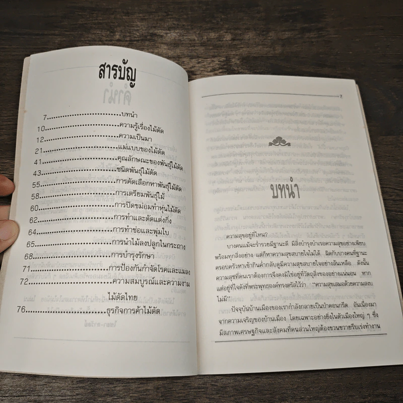 ไม้ดัด - ไชยา-ลาวัลย์ รูปที่ 7