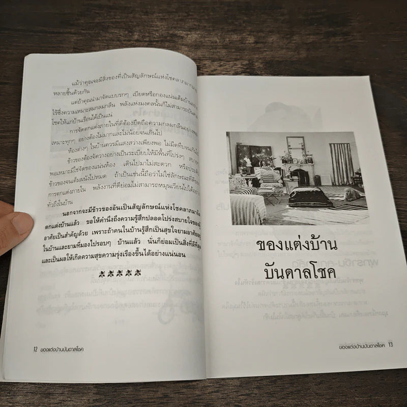 ของแต่งบ้านบันดาลโชค - มงคล ไพศาลวาณิช รูปที่ 8