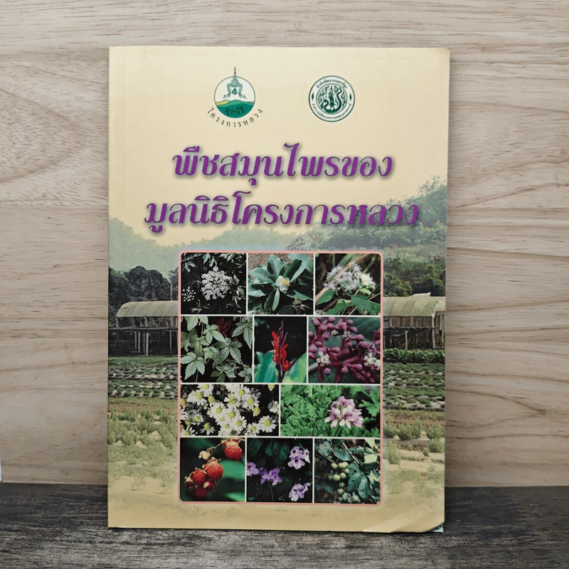 พืชสมุนไพรของมูลนิธิโครงการหลวง รูปที่ 1