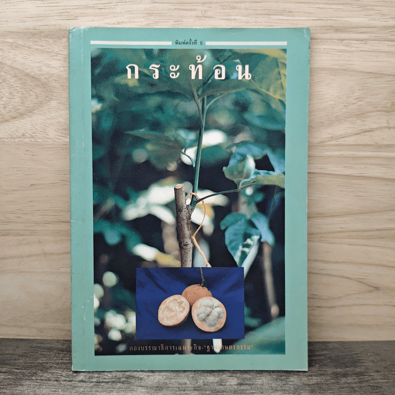 กระท้อน รูปที่ 1