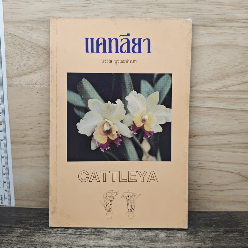 แคทลียา - บรรณ บูรณะชนบท รูปที่ 1