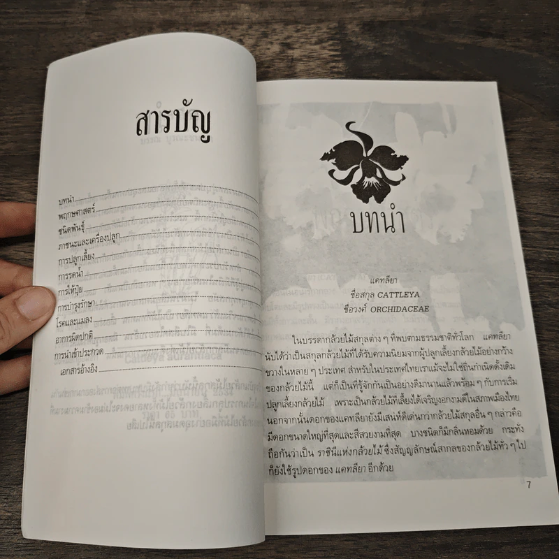แคทลียา - บรรณ บูรณะชนบท รูปที่ 7