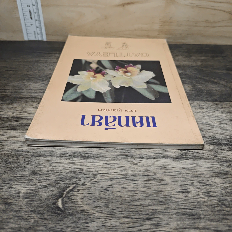 แคทลียา - บรรณ บูรณะชนบท รูปที่ 4