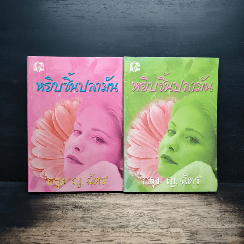 หยิบชิ้นปลามัน 2 เล่มจบ - กรุง ญ.ฉัตร รูปที่ 1
