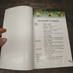 อาหารธรรมชาติ อาหารสมุนไพร รูปที่ 6