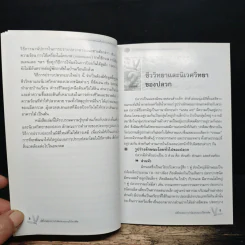 มิติใหม่ของการกำจัดปลวกแบบไร้สารพิษ รูปที่ 9