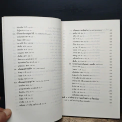 แทงเข็ม - อภิชัย ขัยดรุณ รูปที่ 9