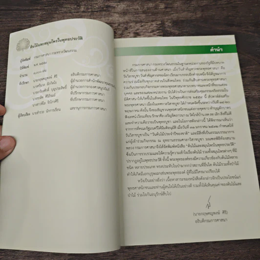 ต้นไม้และสมุนไพรในพุทธประวัติ รูปที่ 6