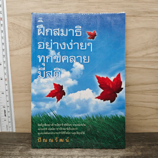 ฝึกสมาธิอย่างง่ายๆ ทุกข์คลาย มีสติ - ปัณณวัฒน์ รูปที่ 1