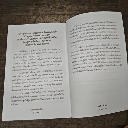 ความรักของเจ้าฟ้า - เวนิสา เสนีวงศ์ฯ รูปที่ 9