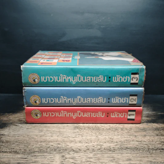 เขาวานให้หนูเป็นสายลับ 3 เล่มจบ - พัดชา รูปที่ 2