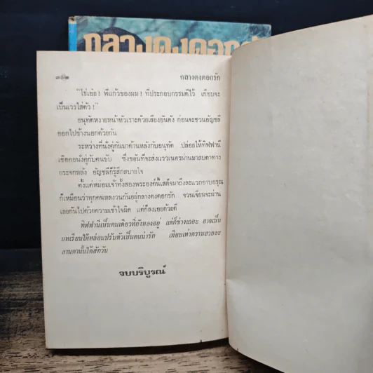 กลางดงดอกรัก 2 เล่มจบ - นลิน บุษกร รูปที่ 8