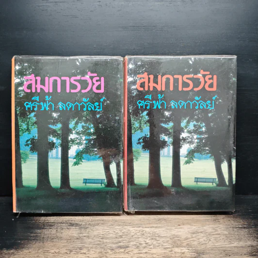 สมการวัย 2 เล่มจบ - ศรีฟ้า ลดาวัลย์ รูปที่ 1