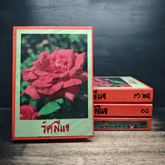 รัศมีแข 4 เล่มจบ - พนมเทียน รูปที่ 1