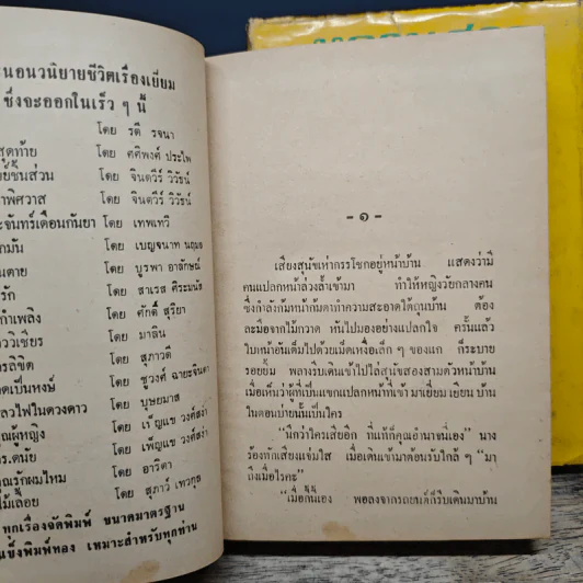 หลานสาวคุณย่า 2 เล่มจบ - กมลนารีย์ รูปที่ 7